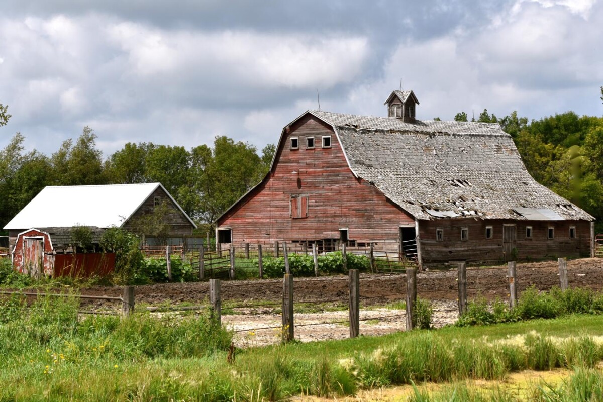 BTE Barns (19)
