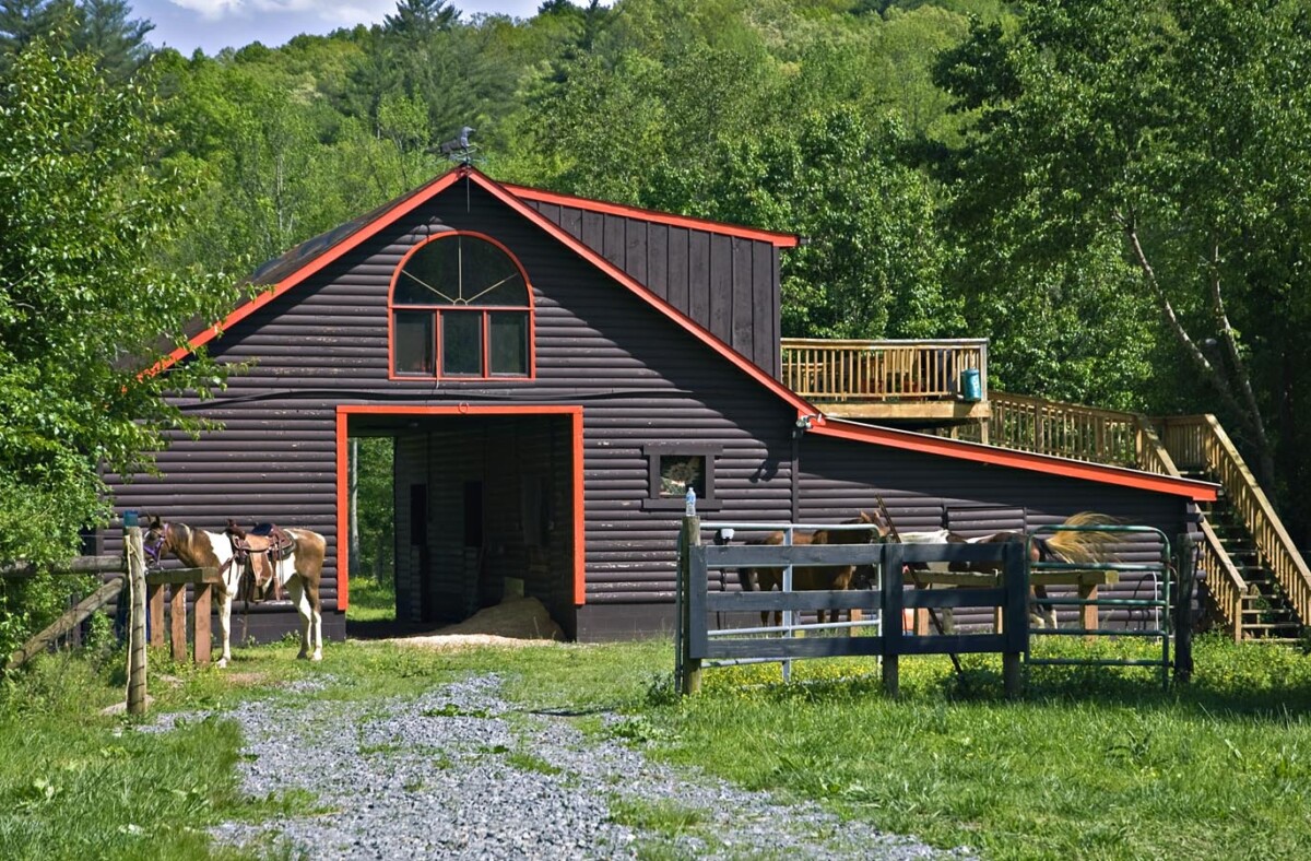 Pretty Log Barn And Horses